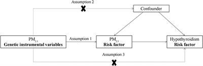 Causal relationship between particulate matter 2.5 and hypothyroidism: A two-sample Mendelian randomization study